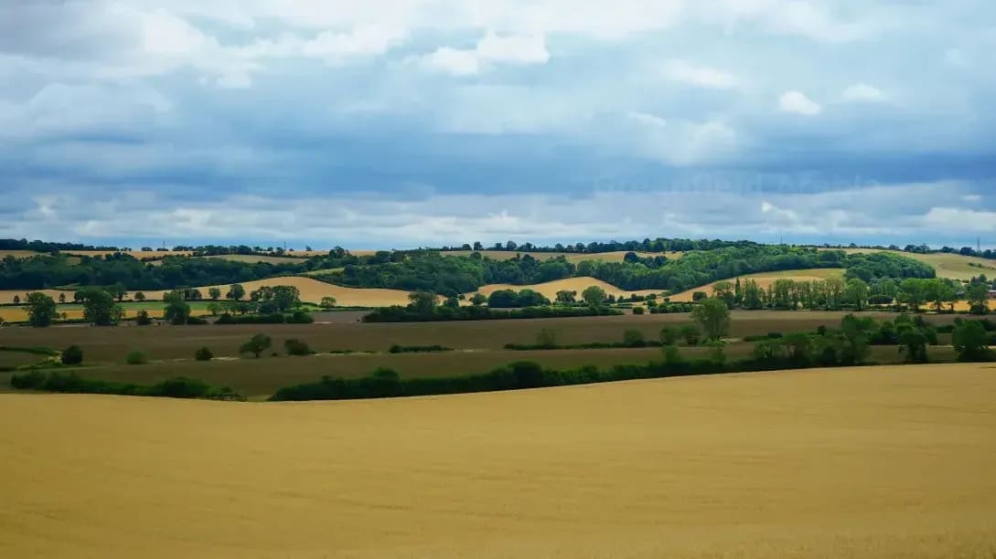 Greenfield Arable 3