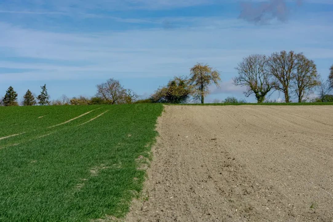 Greenfield Arable 7